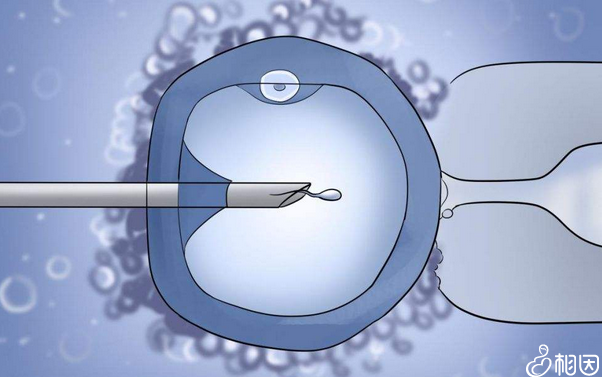 成都不孕不育公立医院生殖医学中心
