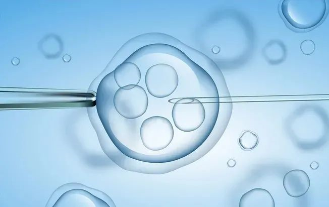 成都第三代试管婴儿胚胎植入前遗传学诊断技术应用现状分析