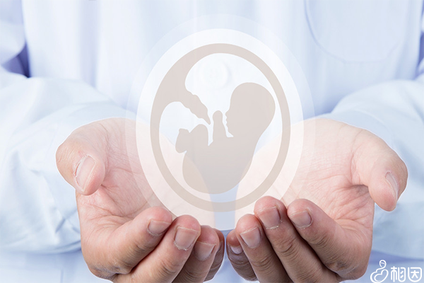 成都地区公立医院试管婴儿技术概览